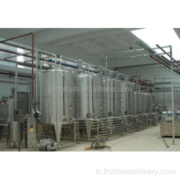Endüstriyel ananas suyu/hamur işleme makineleri